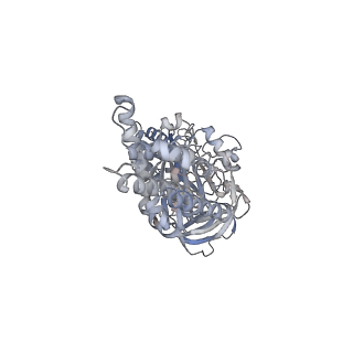 26387_7u8q_C_v1-2
Structure of porcine kidney V-ATPase with SidK, Rotary State 2