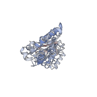 26387_7u8q_D_v1-2
Structure of porcine kidney V-ATPase with SidK, Rotary State 2