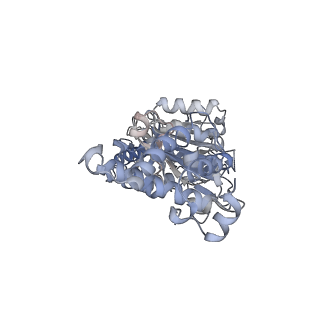 26387_7u8q_F_v1-2
Structure of porcine kidney V-ATPase with SidK, Rotary State 2