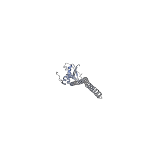 26387_7u8q_I_v1-2
Structure of porcine kidney V-ATPase with SidK, Rotary State 2