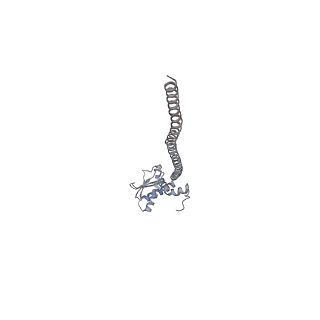 26387_7u8q_K_v1-2
Structure of porcine kidney V-ATPase with SidK, Rotary State 2