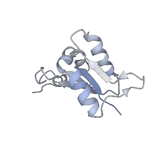 26387_7u8q_L_v1-1
Structure of porcine kidney V-ATPase with SidK, Rotary State 2