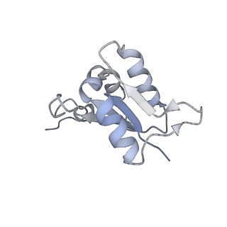 26387_7u8q_L_v1-2
Structure of porcine kidney V-ATPase with SidK, Rotary State 2