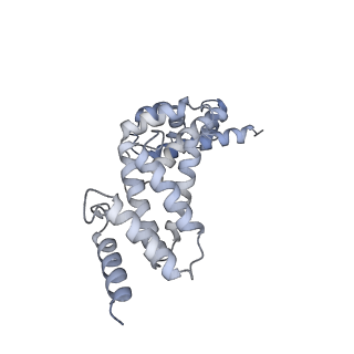 26387_7u8q_Q_v1-1
Structure of porcine kidney V-ATPase with SidK, Rotary State 2