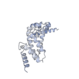 26387_7u8q_Q_v1-2
Structure of porcine kidney V-ATPase with SidK, Rotary State 2