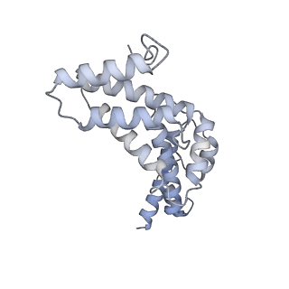 26387_7u8q_R_v1-1
Structure of porcine kidney V-ATPase with SidK, Rotary State 2