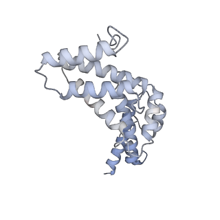 26387_7u8q_R_v1-2
Structure of porcine kidney V-ATPase with SidK, Rotary State 2