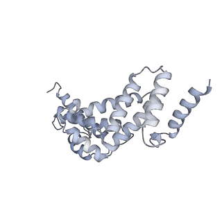 26387_7u8q_S_v1-1
Structure of porcine kidney V-ATPase with SidK, Rotary State 2