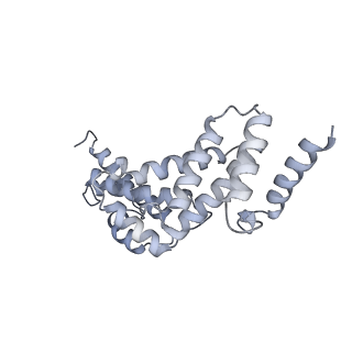 26387_7u8q_S_v1-2
Structure of porcine kidney V-ATPase with SidK, Rotary State 2