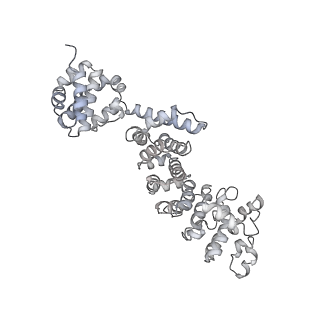 26387_7u8q_T_v1-1
Structure of porcine kidney V-ATPase with SidK, Rotary State 2