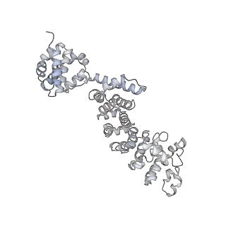 26387_7u8q_T_v1-2
Structure of porcine kidney V-ATPase with SidK, Rotary State 2