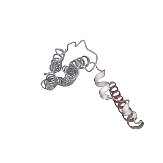 26387_7u8q_b_v1-1
Structure of porcine kidney V-ATPase with SidK, Rotary State 2