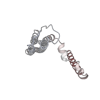 26387_7u8q_b_v1-2
Structure of porcine kidney V-ATPase with SidK, Rotary State 2