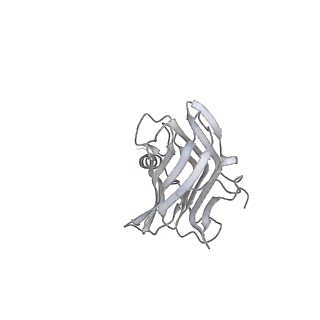 26387_7u8q_c_v1-1
Structure of porcine kidney V-ATPase with SidK, Rotary State 2