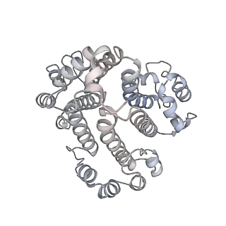 26387_7u8q_d_v1-1
Structure of porcine kidney V-ATPase with SidK, Rotary State 2