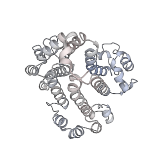 26387_7u8q_d_v1-2
Structure of porcine kidney V-ATPase with SidK, Rotary State 2