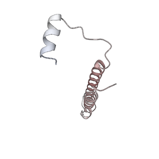 26387_7u8q_e_v1-2
Structure of porcine kidney V-ATPase with SidK, Rotary State 2