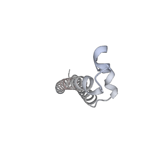 26387_7u8q_f_v1-1
Structure of porcine kidney V-ATPase with SidK, Rotary State 2