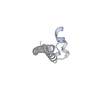 26387_7u8q_f_v1-2
Structure of porcine kidney V-ATPase with SidK, Rotary State 2