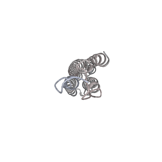 26387_7u8q_k_v1-1
Structure of porcine kidney V-ATPase with SidK, Rotary State 2