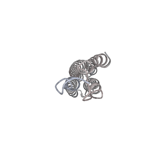 26387_7u8q_k_v1-2
Structure of porcine kidney V-ATPase with SidK, Rotary State 2