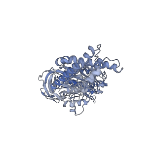 26388_7u8r_A_v1-1
Structure of porcine kidney V-ATPase with SidK, Rotary State 3