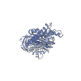 26388_7u8r_A_v1-2
Structure of porcine kidney V-ATPase with SidK, Rotary State 3