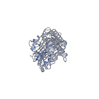 26388_7u8r_B_v1-1
Structure of porcine kidney V-ATPase with SidK, Rotary State 3