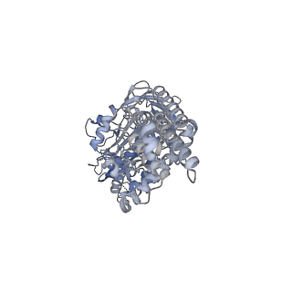 26388_7u8r_B_v1-2
Structure of porcine kidney V-ATPase with SidK, Rotary State 3