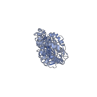 26388_7u8r_C_v1-1
Structure of porcine kidney V-ATPase with SidK, Rotary State 3