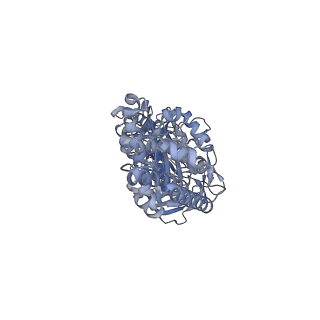 26388_7u8r_C_v1-2
Structure of porcine kidney V-ATPase with SidK, Rotary State 3