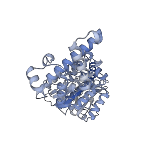 26388_7u8r_D_v1-1
Structure of porcine kidney V-ATPase with SidK, Rotary State 3
