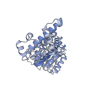 26388_7u8r_D_v1-2
Structure of porcine kidney V-ATPase with SidK, Rotary State 3