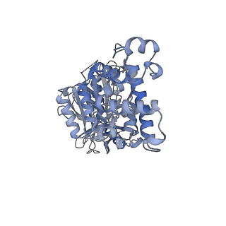 26388_7u8r_E_v1-1
Structure of porcine kidney V-ATPase with SidK, Rotary State 3