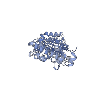26388_7u8r_F_v1-1
Structure of porcine kidney V-ATPase with SidK, Rotary State 3