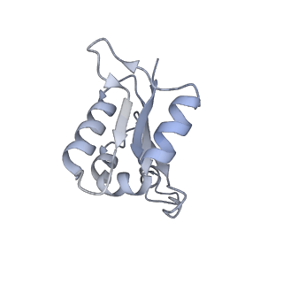 26388_7u8r_L_v1-1
Structure of porcine kidney V-ATPase with SidK, Rotary State 3