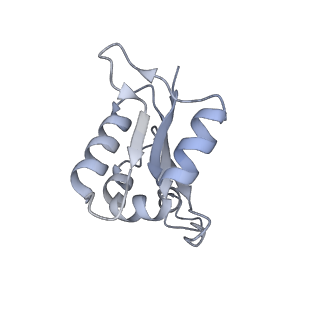 26388_7u8r_L_v1-2
Structure of porcine kidney V-ATPase with SidK, Rotary State 3