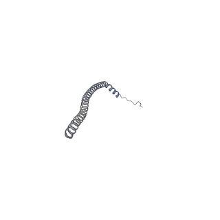 26388_7u8r_N_v1-2
Structure of porcine kidney V-ATPase with SidK, Rotary State 3