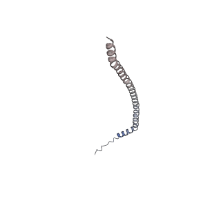 26388_7u8r_O_v1-1
Structure of porcine kidney V-ATPase with SidK, Rotary State 3