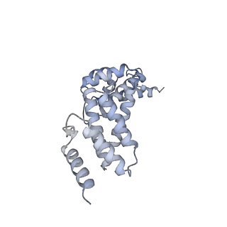 26388_7u8r_Q_v1-1
Structure of porcine kidney V-ATPase with SidK, Rotary State 3