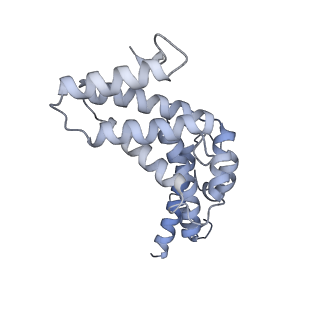 26388_7u8r_R_v1-1
Structure of porcine kidney V-ATPase with SidK, Rotary State 3