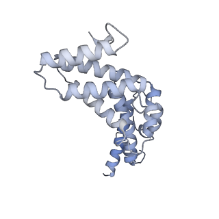 26388_7u8r_R_v1-2
Structure of porcine kidney V-ATPase with SidK, Rotary State 3