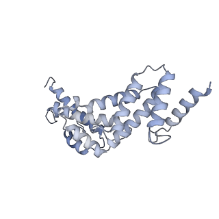 26388_7u8r_S_v1-2
Structure of porcine kidney V-ATPase with SidK, Rotary State 3