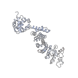 26388_7u8r_T_v1-1
Structure of porcine kidney V-ATPase with SidK, Rotary State 3