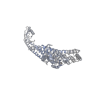 26388_7u8r_a_v1-2
Structure of porcine kidney V-ATPase with SidK, Rotary State 3