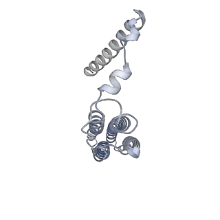 26388_7u8r_b_v1-1
Structure of porcine kidney V-ATPase with SidK, Rotary State 3