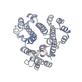 26388_7u8r_d_v1-1
Structure of porcine kidney V-ATPase with SidK, Rotary State 3