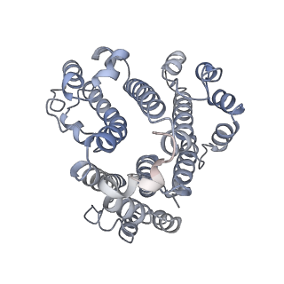 26388_7u8r_d_v1-2
Structure of porcine kidney V-ATPase with SidK, Rotary State 3