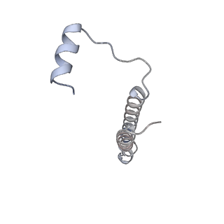 26388_7u8r_e_v1-1
Structure of porcine kidney V-ATPase with SidK, Rotary State 3