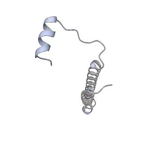 26388_7u8r_e_v1-2
Structure of porcine kidney V-ATPase with SidK, Rotary State 3